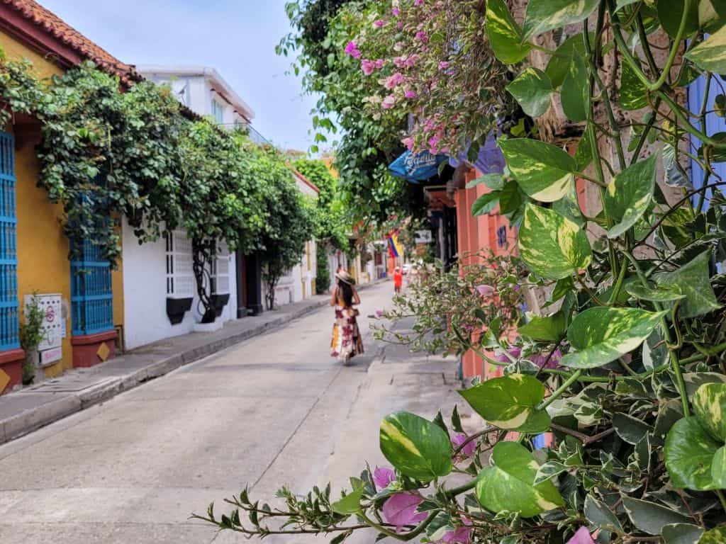 Flowery street Cartagena San Diego (1)