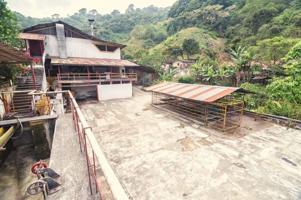 La victoria Minca