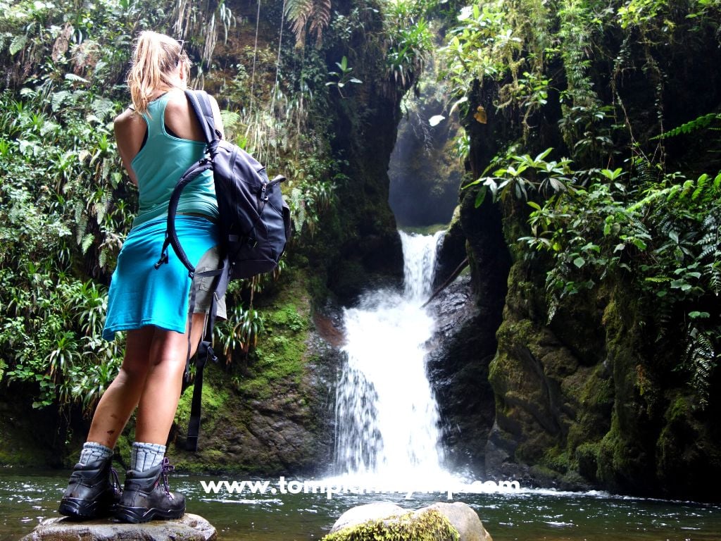 Jardin waterfall