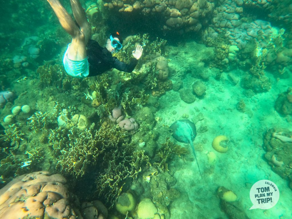 Snorkeling Placha Cinto Tayrona Park - Santa Marta Colombia - Eastern Caribbean Coast
