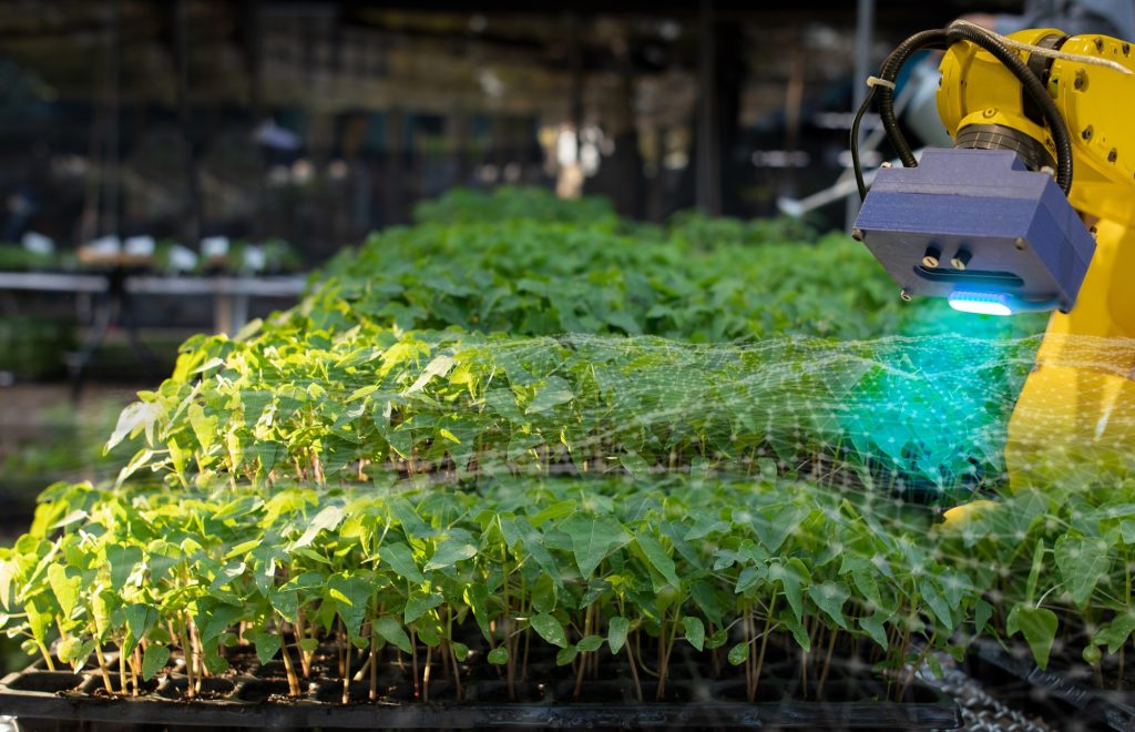 The robot is analysing the problem of plant in greenhouse. Agriculture technology using computer